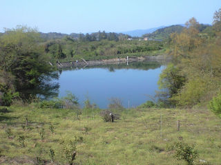 奈良の野池